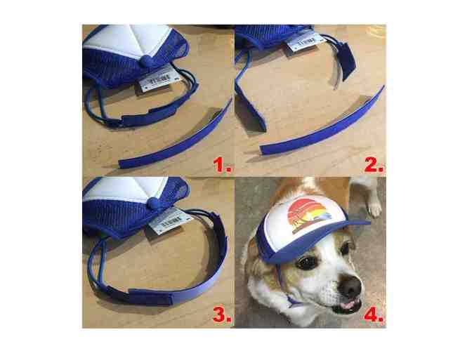 PupLid - Two (Size Medium) Trucker Hats for Dogs