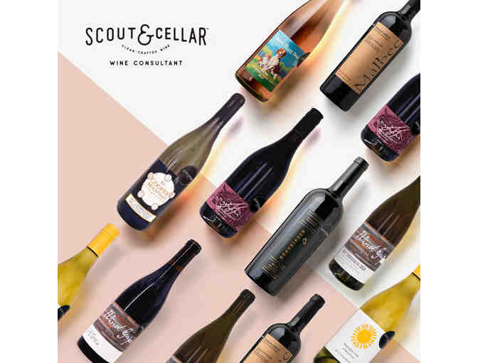 Scout & Cellar: Basket and Wine Tasting for 12