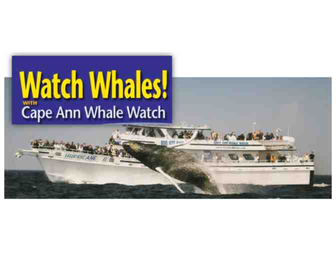 Cape Ann Whale Watch for 2 - Photo 1
