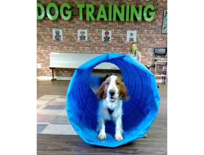 Sit, Stay, Bid!! - Dog Training Basket