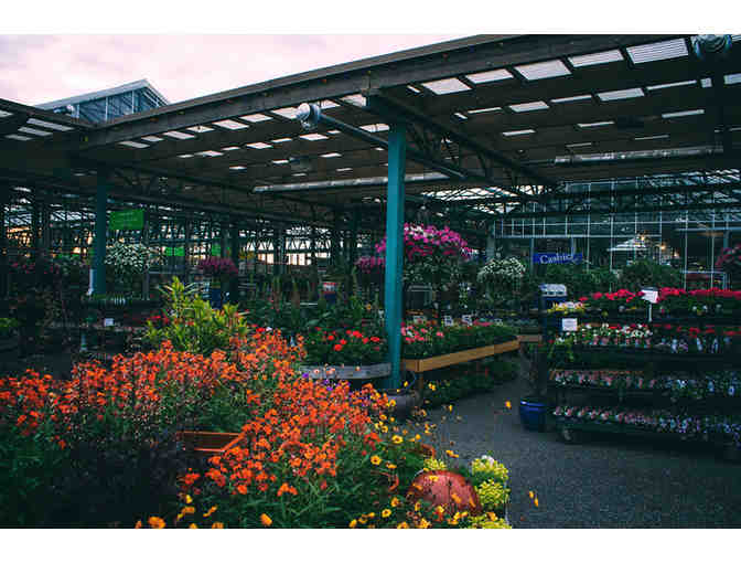 $75 Gift Certificate to Swanson's Nursery