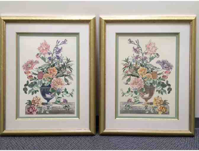 Botanical Prints