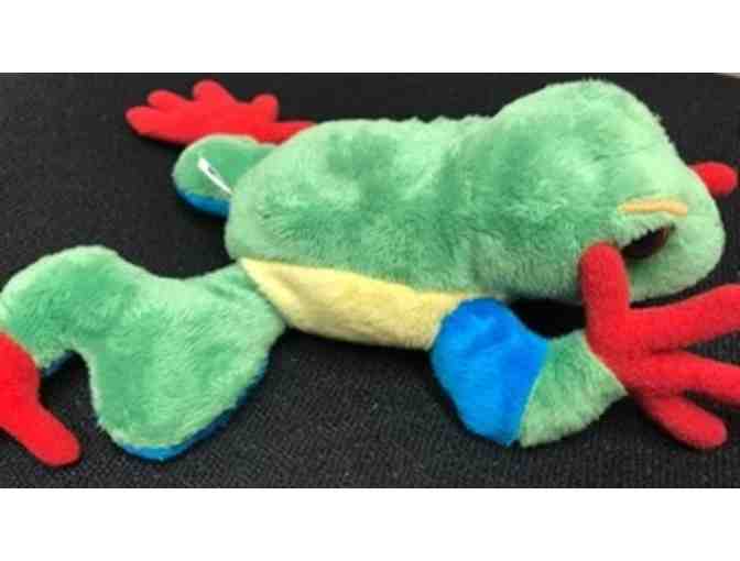 Woodland Park Zoo Family Fun Pack and Tree Frog Toy