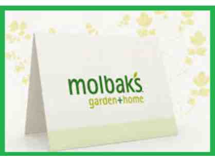 Molbaks Garden + Home- $50 Gift Certificate