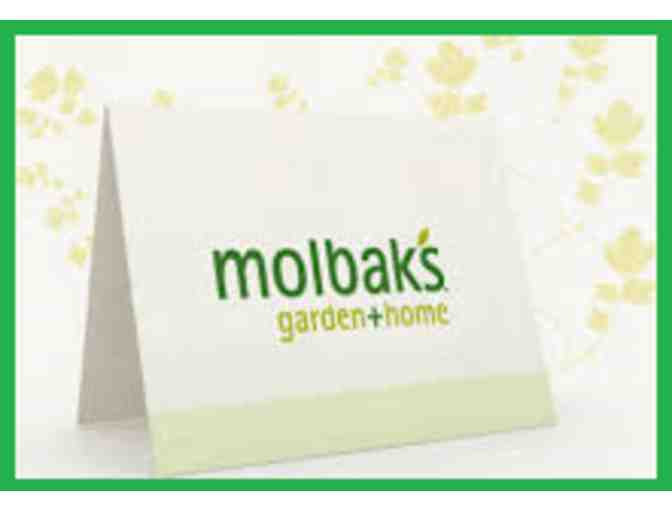 Molbaks Garden + Home- $50 Gift Certificate