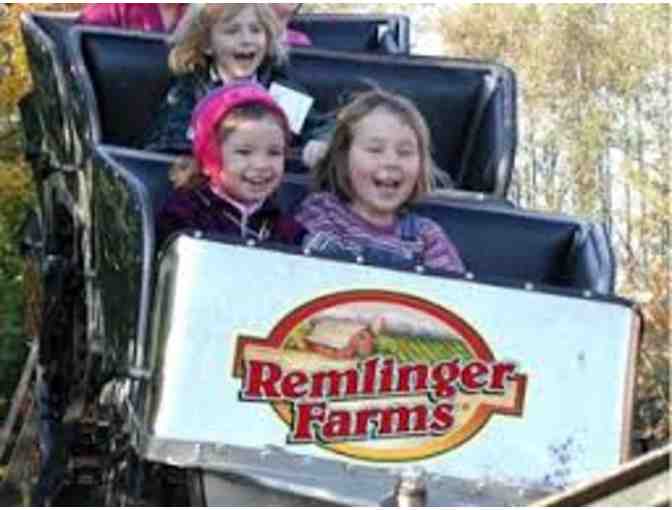 Remlinger Farms Family Fun Park - 4 admissions