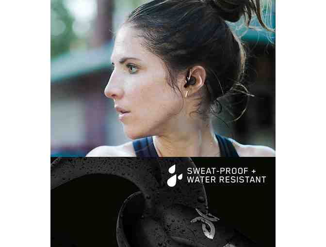 Jaybird Freedom Wireless Bluetooth In-Ear Headphones