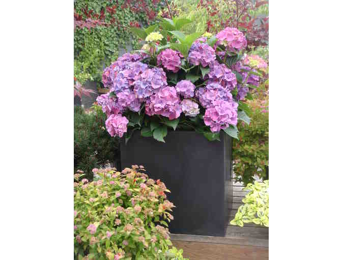 Magnolia Garden Center- $100 Gift Card