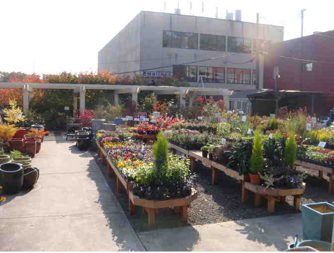 Magnolia Garden Center- $100 Gift Card