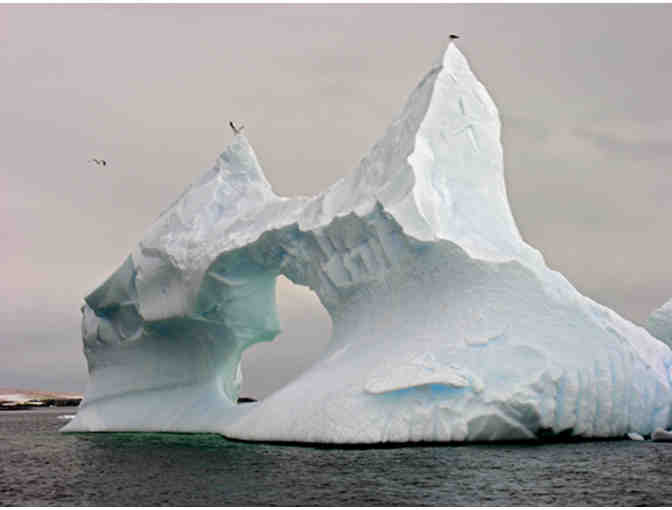 *Your Choice* Ray Meuse Award Winning Photograph