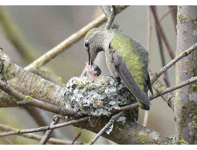 *Your Choice* Ray Meuse Award Winning Photograph