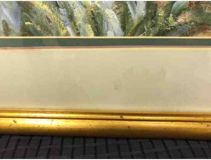 Monet 'The Iris Garden at Giverny' Framed Print