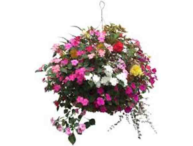 Beautiful Hanging Basket for your Home