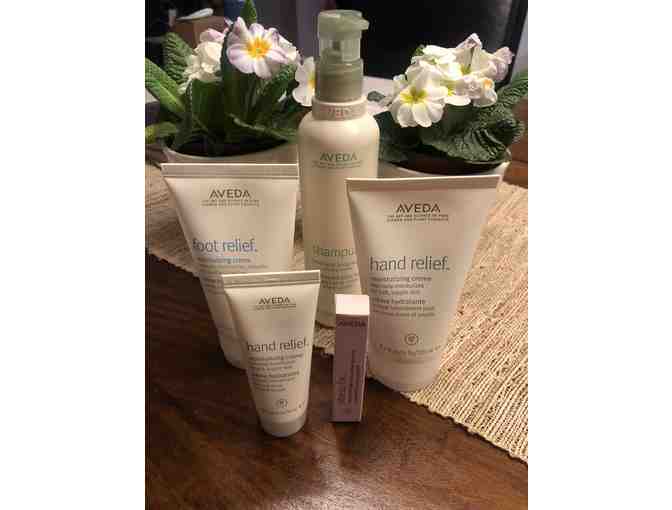 Aveda Products-The Art and Science of Pure Flower and Plant Essences