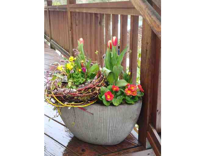 Fresh Potted Spring Arrangement in Ceramic Pot *pictured*