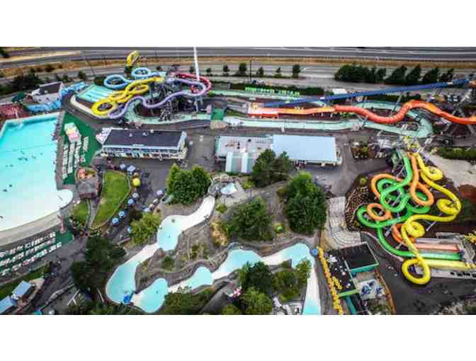 Wild Waves Theme & Water Park- 2 General Admission Tickets