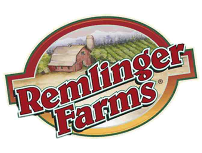 Remlinger Farms Family Fun Park - 4 admissions