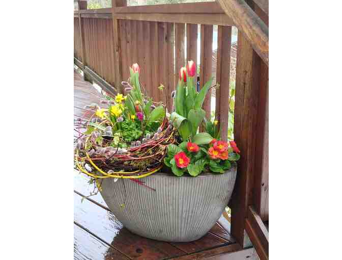 Fresh Potted Spring Arrangement in Ceramic Pot