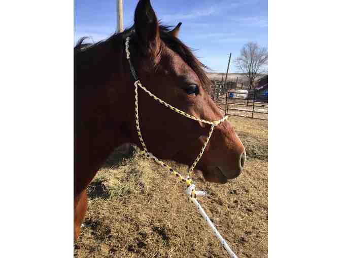 Custom made rope horse halter