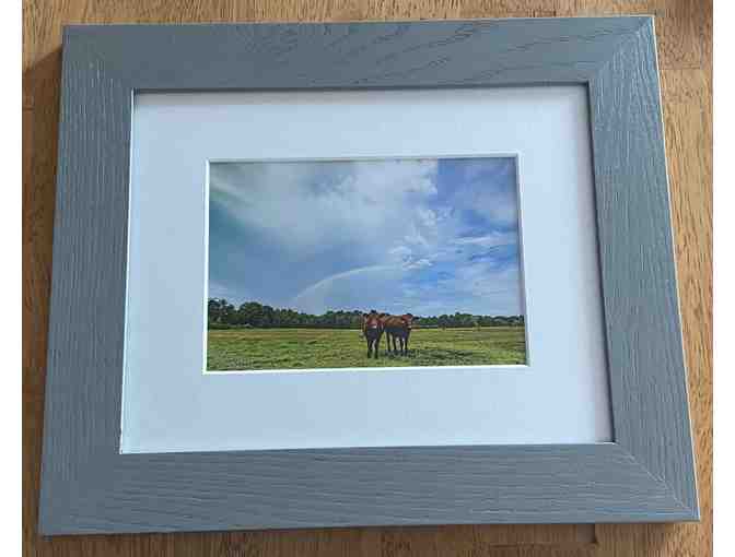 Natural Rural Beauty