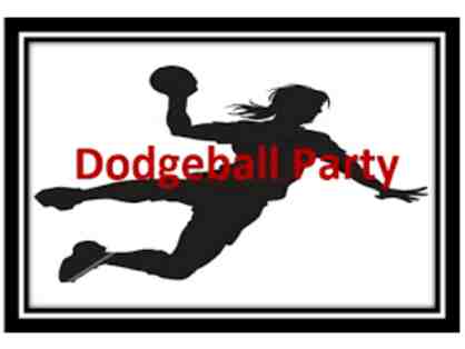 Return of the "Ultimate Dodgeball Party" with Mr. Walker & Mr. Reines at Sky High Sports