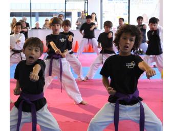 1 Month Group Taekwondo Classes Plus 1 Private Training Session