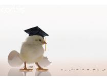 2013 Fifth Grade Culmination - Two Front Row Tickets