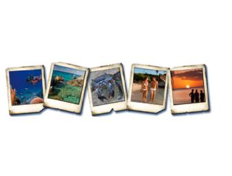 Full Day Trip aboard 46' Sea Ray Sundancer 'Southern Hospitality'