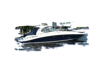 Full Day Trip aboard 46' Sea Ray Sundancer 'Southern Hospitality'