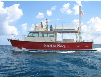 Sadie Sea Sunset Snorkle Cruise