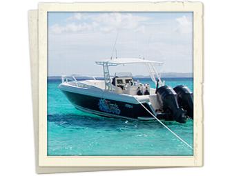 Wet Woody's Full Day Charter to Jost Van Dyke!