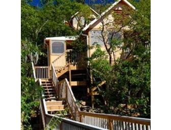 Five night stay for 5 in an Eco-Tent  or Premium Eco-Tent Concordia Eco-Resort, St. John