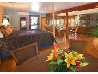 7 nights at Beachfront Villa, Vida de Mar, for up to 10 people