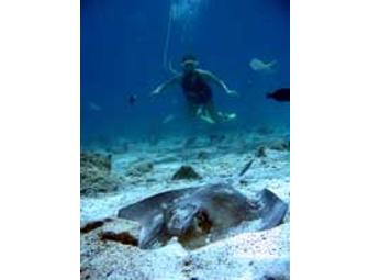 SNUBA St. John Underwater Adventure for 2!