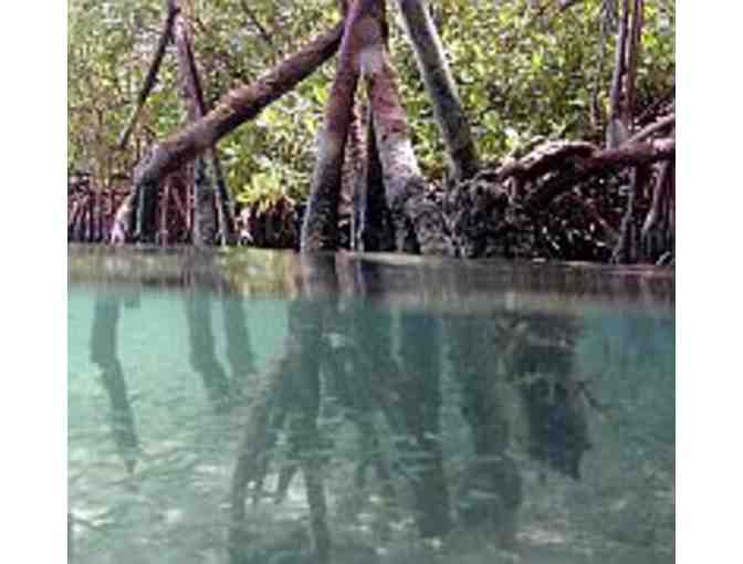 Guided Paddleboard Adventure for Two People