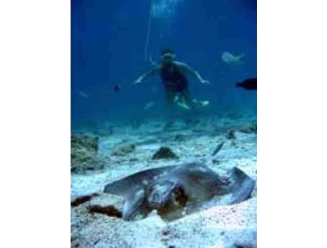 SNUBA St. John Underwater Adventure for 2!