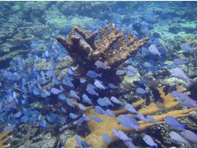 Full Day Sail, Hike & Snorkel Adventure for 6 with Virgin Magic