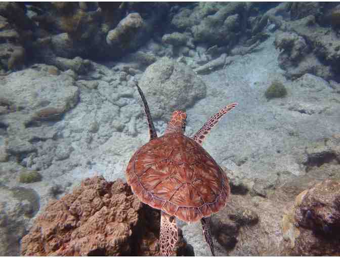 Full Day Sail, Hike & Snorkel Adventure for 6 with Virgin Magic