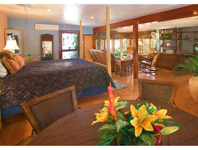 7 nights at Spectacular Beachfront Villa 'Vida de Mar' for up to 10 people