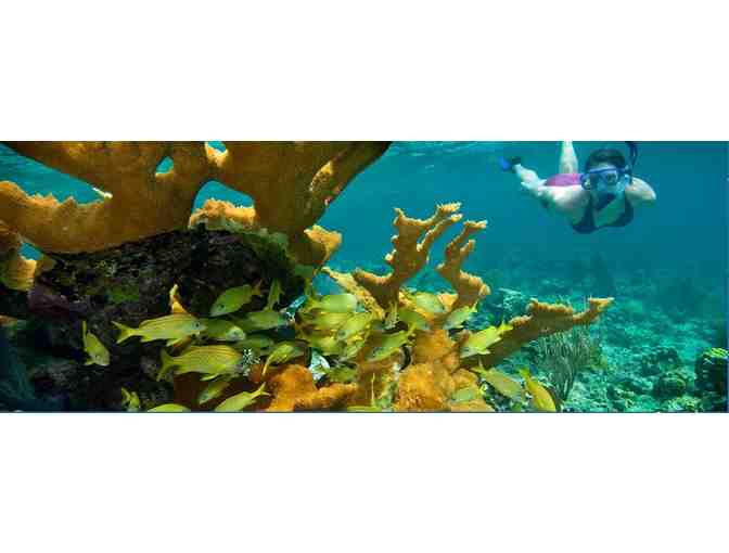 Honeymoon Beach All Inclusive Full Day Fun Pass for 6 people