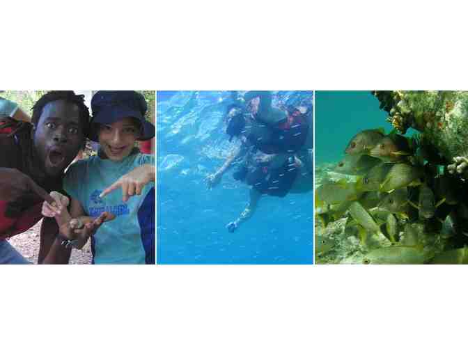 Mangrove Lagoon/Cas Cay Hike & Kayak Tour