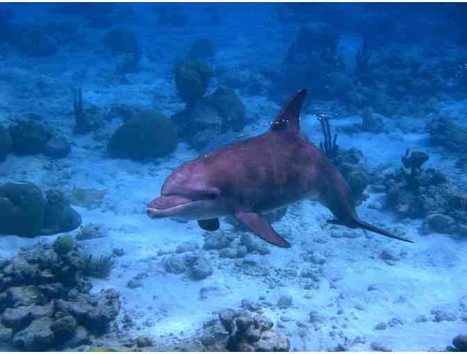 Full Day Sail & Snorkel Adventure for 6 people on unique Mahiya