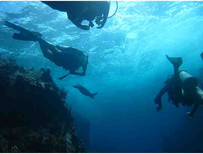 2-tank Scuba Diving for two divers