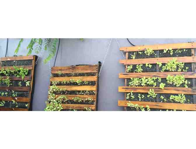 $100 Gift Certificate for Extra Virgin Bistro on STJ