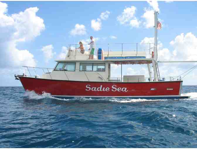Sadie Sea Sunset Snorkel Cruise for 30 people