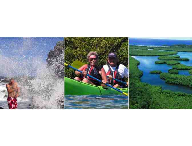 Mangrove Lagoon/Cas Cay Hike & Kayak Tour