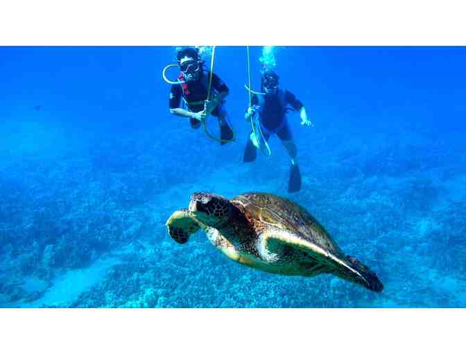 Snuba or Sea Trek Experience  for 2 at Coral World
