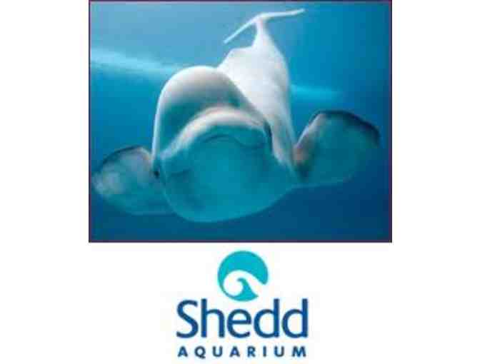 Shedd Aquarium - 4 priority tickets