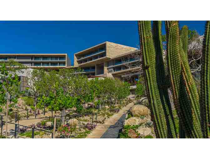 Solaz Los Cabos: 7 night stay in a Master Suite for up to 4 people