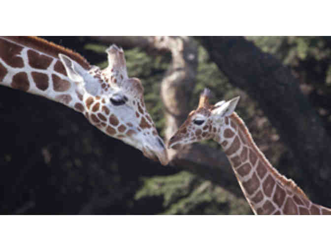 2 Admission Passes to the San Francisco Zoo